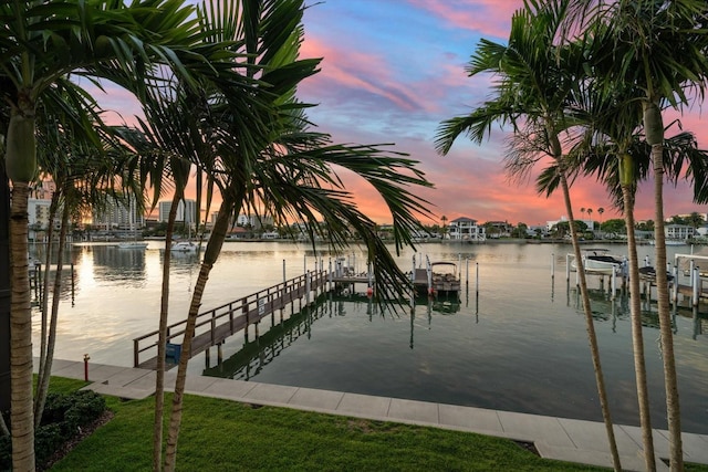 dock area with a water view