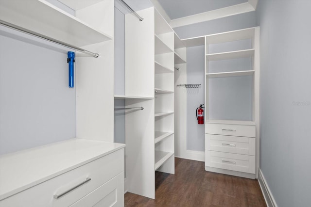 walk in closet with dark wood-type flooring