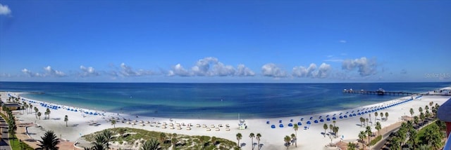 property view of water with a beach view