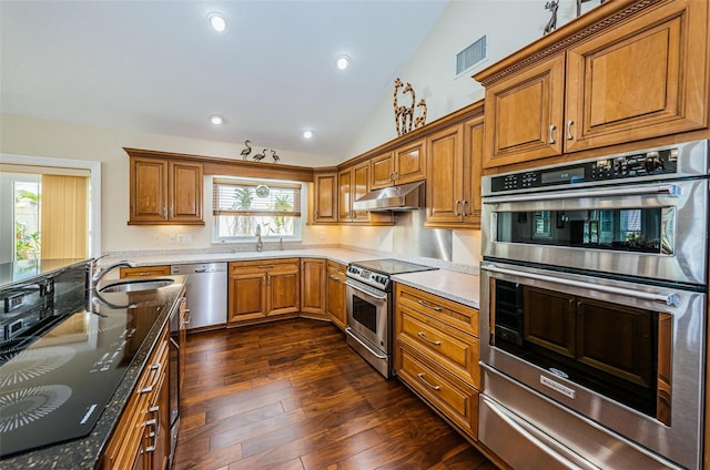 kitchen with sink, appliances with stainless steel finishes, dark hardwood / wood-style flooring, and plenty of natural light