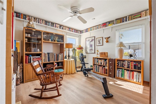 sitting room with ceiling fan and light wood-type flooring