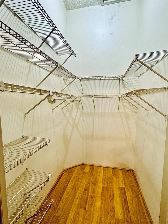 walk in closet featuring wood-type flooring