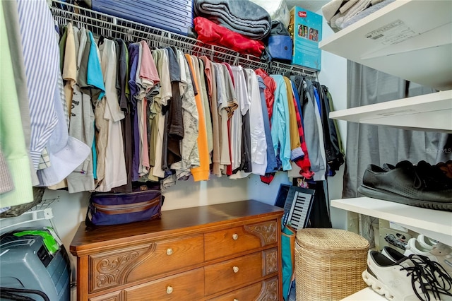 view of spacious closet