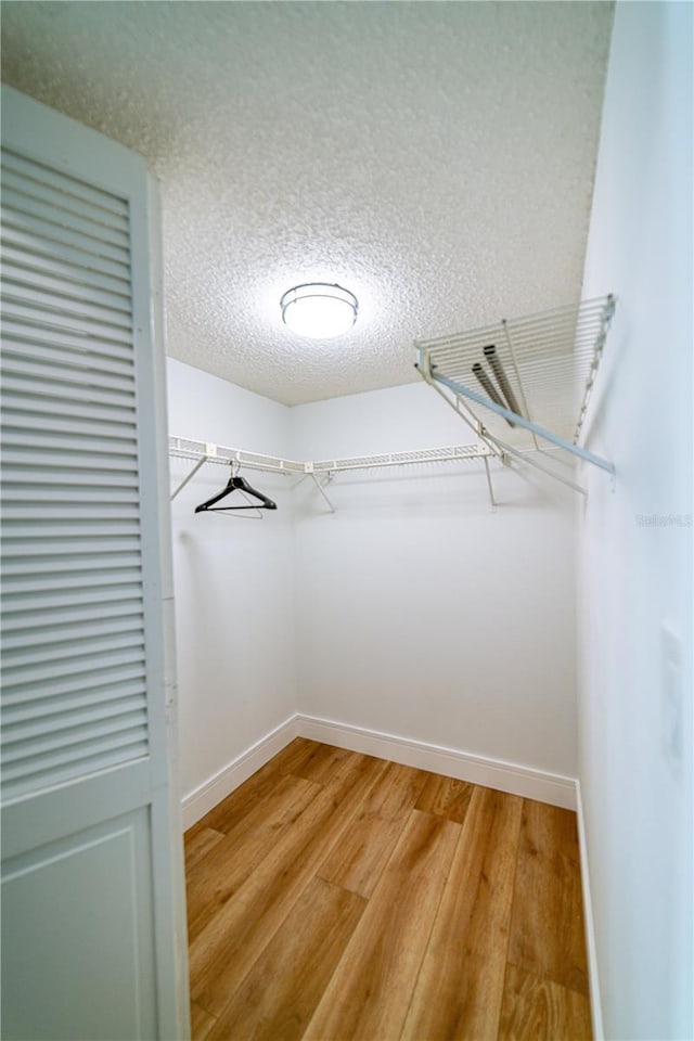 walk in closet with hardwood / wood-style floors