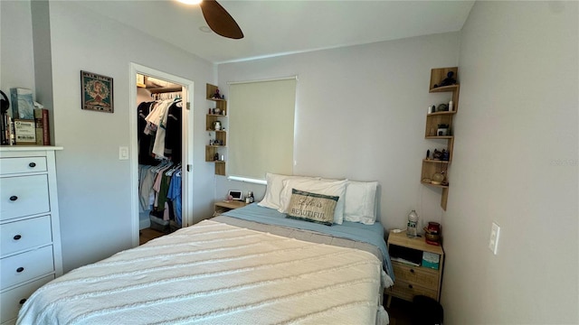 bedroom featuring ceiling fan, a walk in closet, and a closet