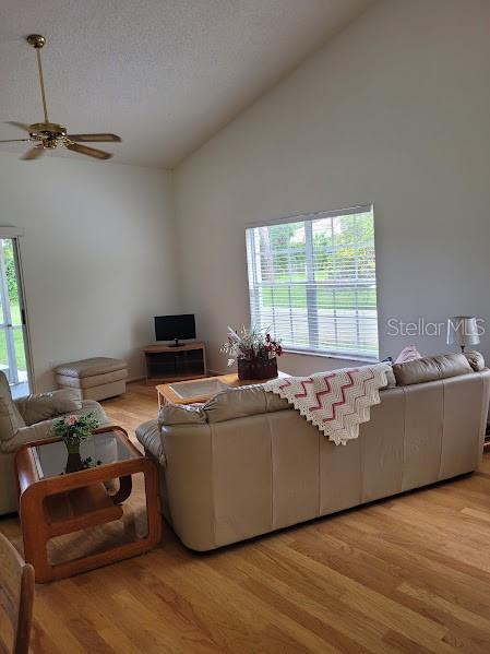 living room featuring a textured ceiling, ceiling fan, light hardwood / wood-style flooring, and plenty of natural light