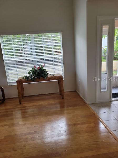 foyer featuring hardwood / wood-style floors and a healthy amount of sunlight