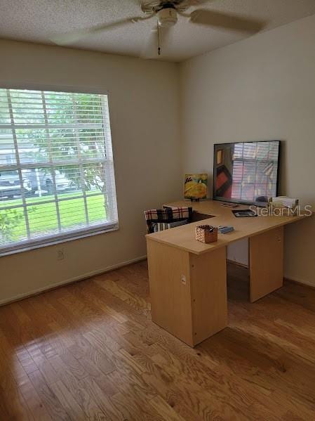 unfurnished office with ceiling fan, light wood-type flooring, and a textured ceiling