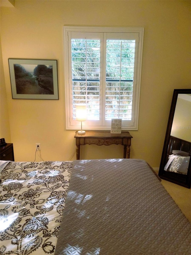 bedroom with multiple windows and carpet flooring