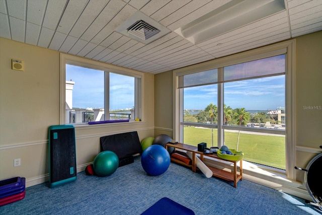 workout area with carpet floors, visible vents, and baseboards