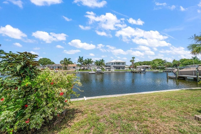 water view featuring a boat dock