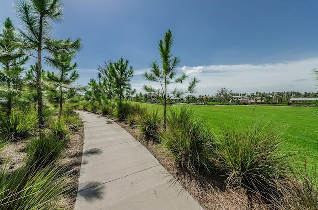 view of community featuring a yard