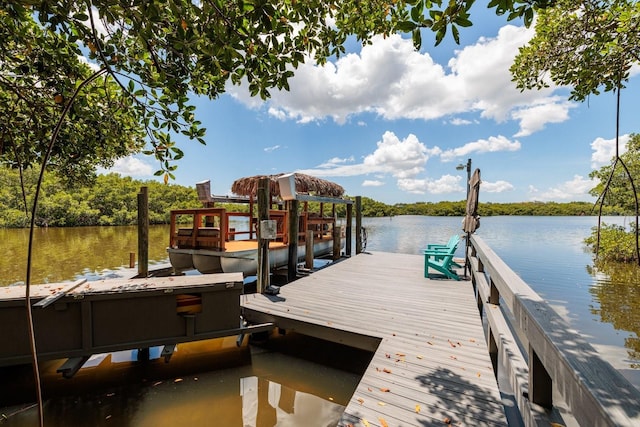 dock area featuring a water view