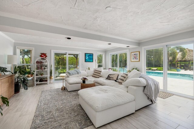 living room with ornamental molding, a healthy amount of sunlight, a textured ceiling, and light wood-type flooring