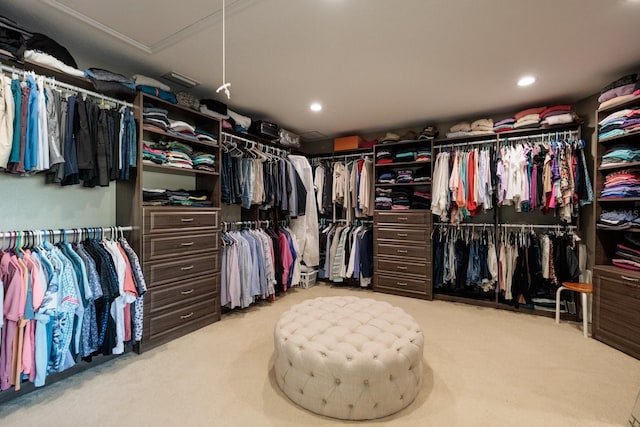 walk in closet with light carpet