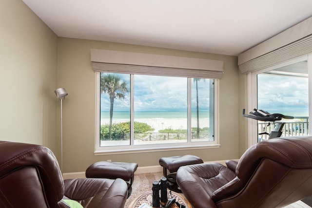 carpeted living room with a water view and plenty of natural light