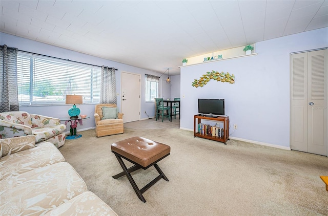 living room with carpet floors