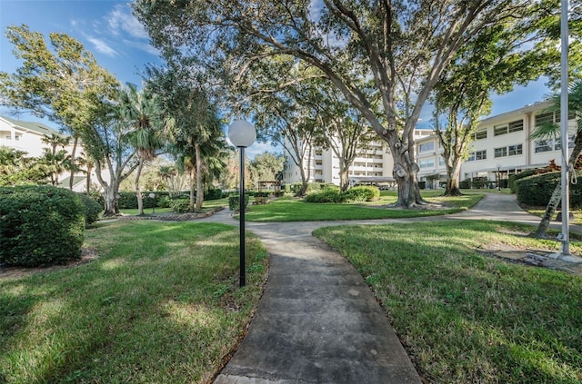 view of home's community with a yard