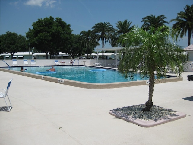 view of pool with a patio area