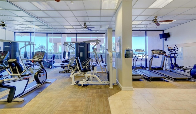 gym with ceiling fan, a drop ceiling, and a wall of windows