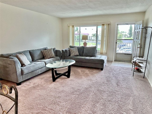 living room featuring a textured ceiling and light carpet