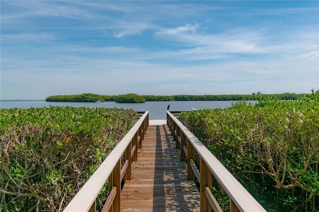 view of home's community with a water view