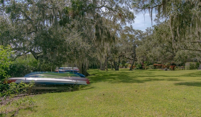 view of community with a lawn