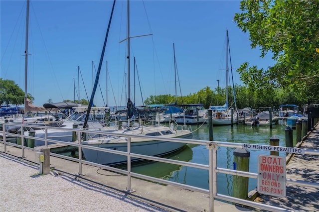 dock area with a water view