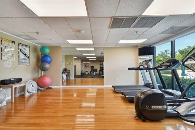 workout area with a drop ceiling and hardwood / wood-style flooring