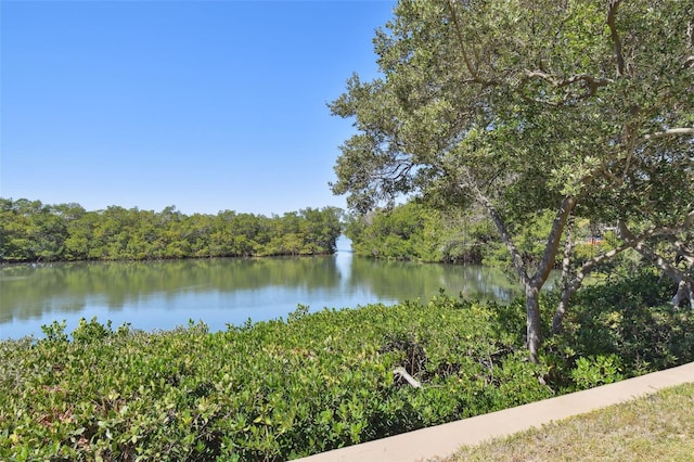 view of water feature