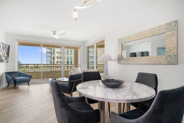 dining space featuring ceiling fan and light hardwood / wood-style flooring