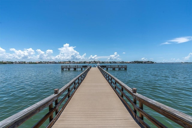 dock area with a water view
