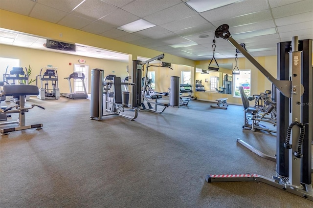 gym featuring a drop ceiling and a healthy amount of sunlight