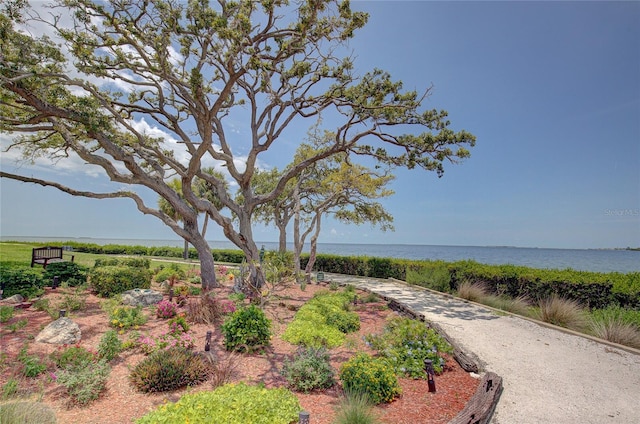 view of property's community featuring a water view