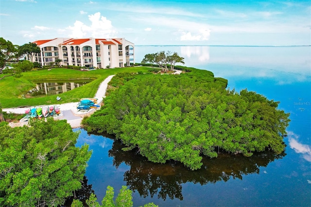 aerial view with a water view