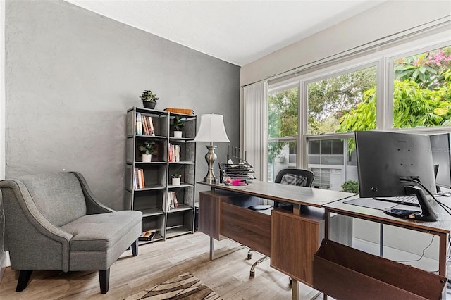 office featuring light wood-type flooring