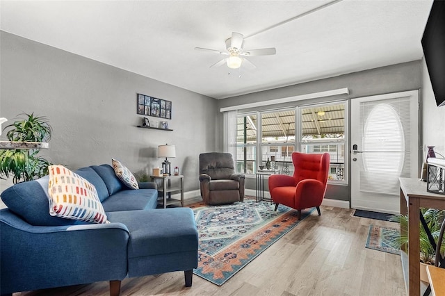 living room featuring ceiling fan and hardwood / wood-style flooring