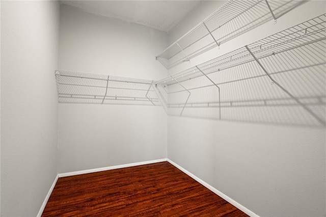 walk in closet featuring hardwood / wood-style flooring