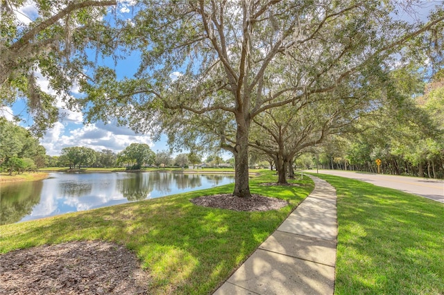 property view of water