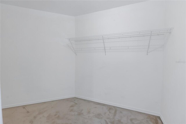 spacious closet with carpet