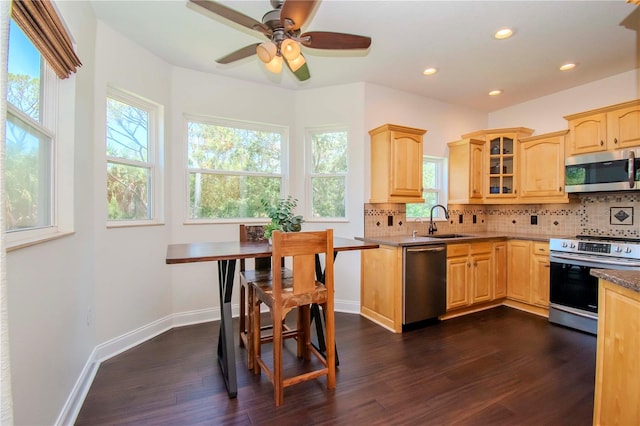 kitchen featuring dark wood-type flooring, ceiling fan, stainless steel appliances, decorative backsplash, and sink