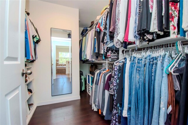 spacious closet featuring dark hardwood / wood-style floors