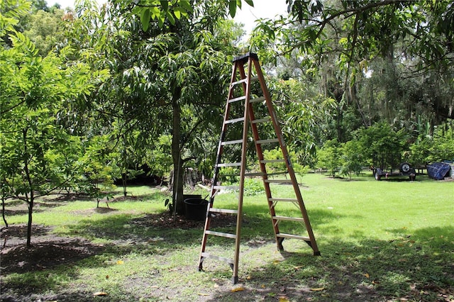 view of jungle gym featuring a lawn