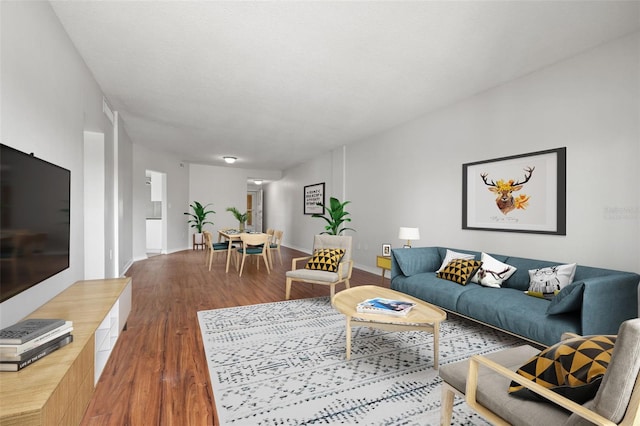 living room featuring wood-type flooring