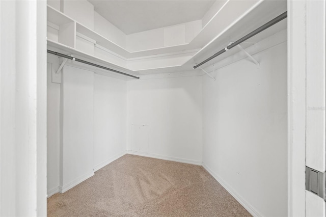 walk in closet with light colored carpet