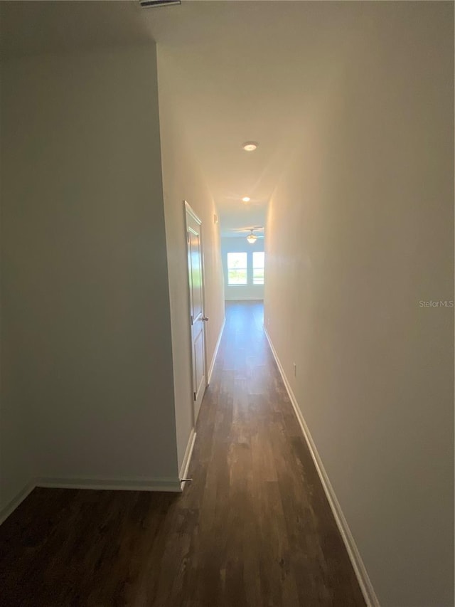 hallway with dark hardwood / wood-style floors