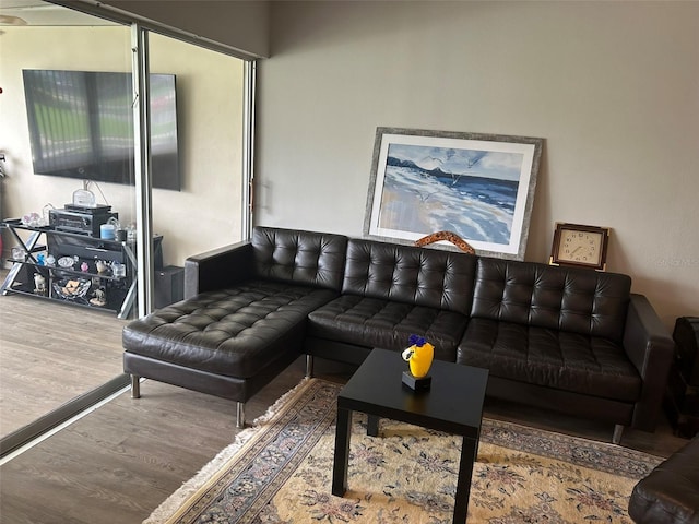 living room with wood-type flooring