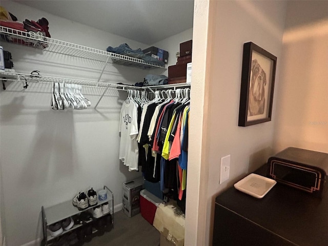 view of walk in closet