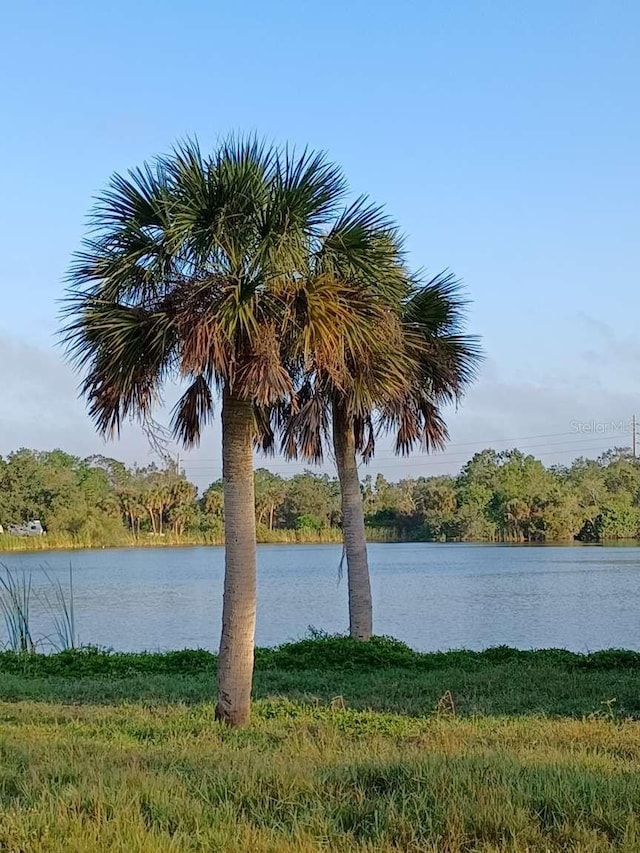 property view of water