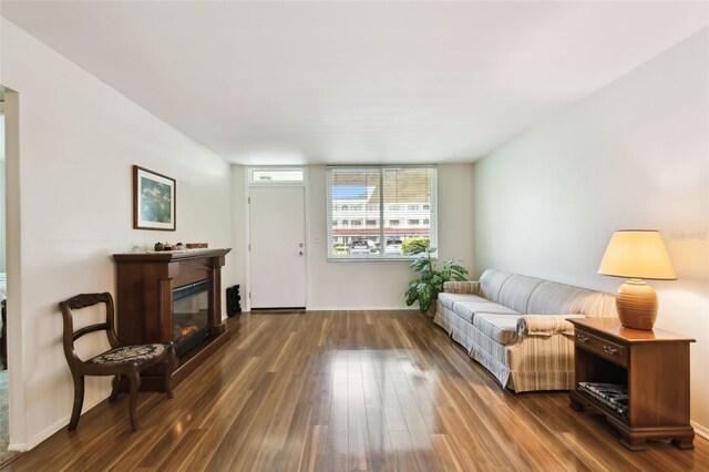 living room with dark hardwood / wood-style flooring